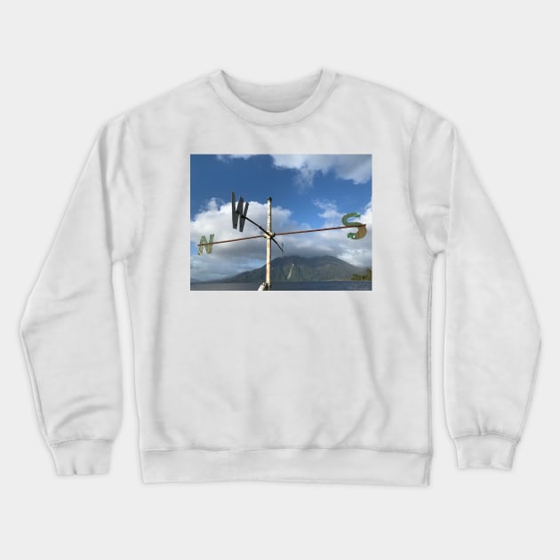 Where to next? Crewneck Sweatshirt by TerraDumont